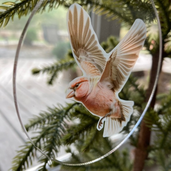 Rosy common finch Christmas ornament Double Sided - Picture 3 of 3